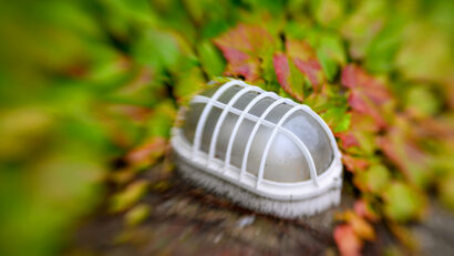 Natur trifft Mensch