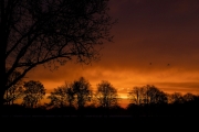 Das Feuer der Sonne (c) Ina Herzig