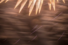 Feuerwerk II (c) Astrid Padberg