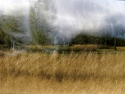 Die Wind-Böe (c) Annette Ulrich