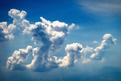 Wolkenvögel (c) Detlef Buxmann