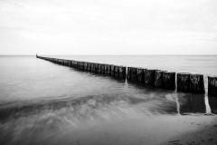 Blick in die Ferne (c) Ina Herzig