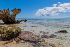 Thomas Beach (c) Detlef Buxmann