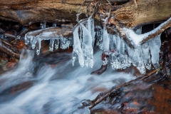 Eiszapfen am Bach (c) Detlef Buxmann