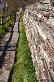 Wanderung entlang des Perlenbachs nach Monschau