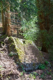 Wanderung entlang des Perlenbachs nach Monschau