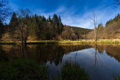Wanderung entlang des Perlenbachs nach Monschau