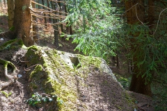 Wanderung entlang des Perlenbachs nach Monschau