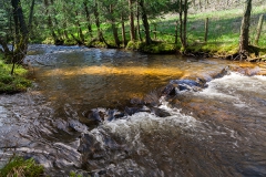 Wanderung entlang des Perlenbachs nach Monschau