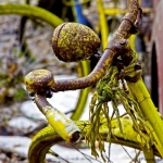 Not my bike