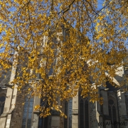 Altenberger Dom