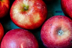 Angeschnitten (c) Ina Herzig