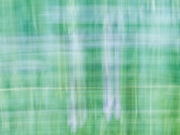 Muster (c) Annette Ulrich, Blumenwiese, Doppelbelichtung gewischt