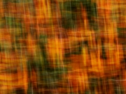 orange (c) Annette Ulrich