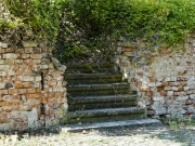 P8200186_web