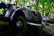 Autofriedhof (c) Ulrike Kaulfuß