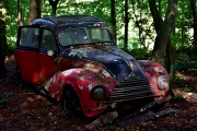 Autofriedhof (c) Ulrike Kaulfuß