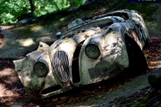 Autofriedhof (c) Ulrike Kaulfuß