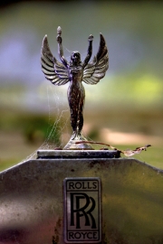 Autofriedhof (c) Ulrike Kaulfuß