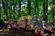 Autofriedhof (c) Ulrike Kaulfuß