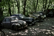 Autofriedhof (c) Ulrike Kaulfuß