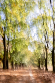 De Hoge Veluwec) Ina Herzig