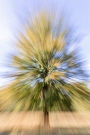 De Hoge Veluwe (c) Ina Herzig