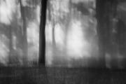 De Hoge Veluwe (c) Ina Herzig