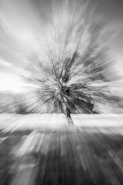 De Hoge Veluwe (c) Andreas Otto