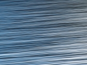 De Hoge Veluwe (c) Annette Ulrich