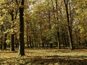 De Hoge Veluwe (c) Annette Ulrich