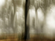 De Hoge Veluwe (c) Annette Ulrich