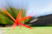 De Hoge Veluve (c) Georg Bein