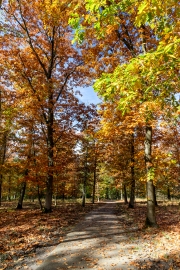 De Hoge Veluwe (c) Georg Bein