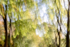 De Hoge Veluwec) Ina Herzig