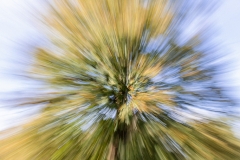 De Hoge Veluwe (c) Ina Herzig