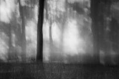 De Hoge Veluwe (c) Ina Herzig