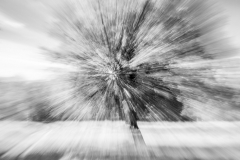 De Hoge Veluwe (c) Andreas Otto