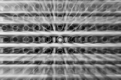 De Hoge Veluwe (c) Andreas Otto