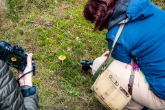 De Hoge Veluwe (c) Andreas Otto
