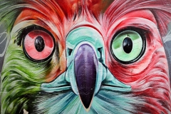 Vogel Graffiti Arnheim (c) Detlef Buxmann