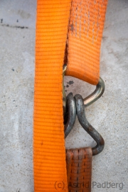 orange (c) Astrid Padberg