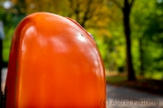 orange (c) Astrid Padberg