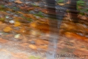 orange gewischt (c) Astrid Padberg