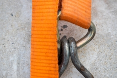 orange (c) Astrid Padberg