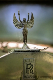 Autofriedhof / Skulpturenpark (c) Astrid Padberg