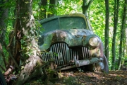 Autofriedhof / Skulpturenpark (c) Astrid Padberg