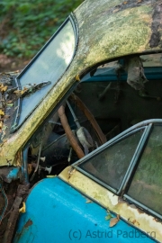 Autofriedhof / Skulpturenpark (c) Astrid Padberg