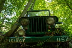 Autofriedhof / Skulpturenpark (c) Astrid Padberg