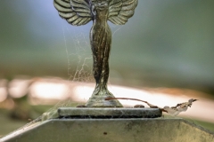 Autofriedhof / Skulpturenpark (c) Astrid Padberg
